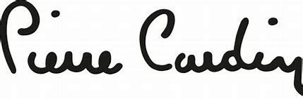 Brand: Pierre Cardin